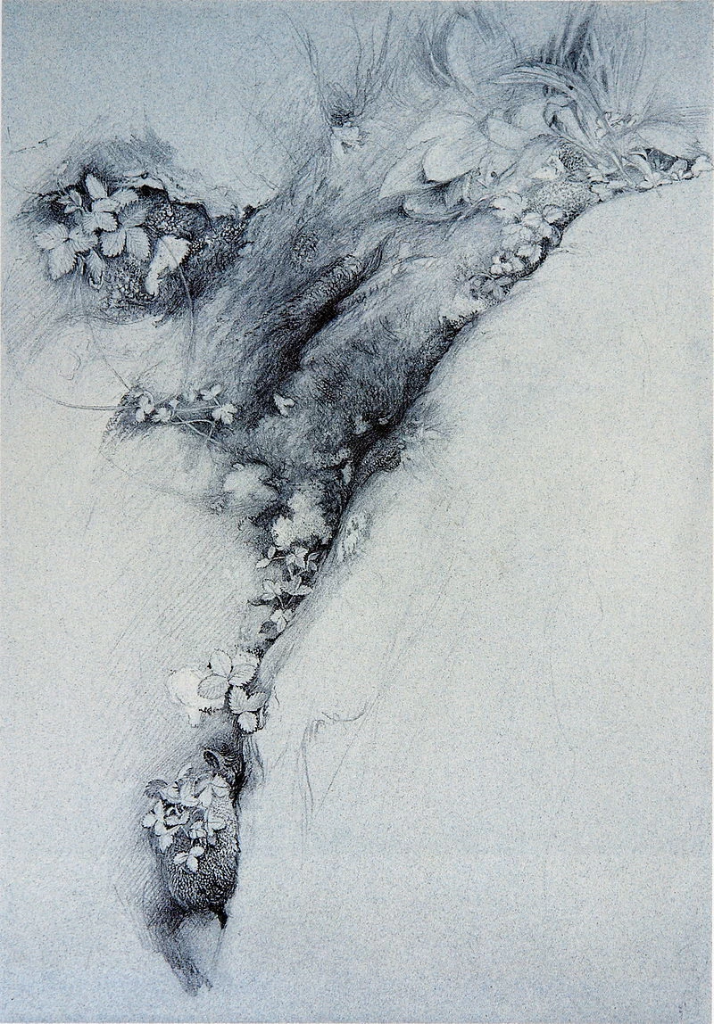 Muschio e fragola selvatica, ~ 1870 - 182
